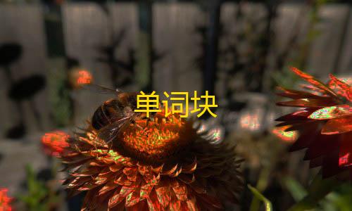 goog直装暗区突围下载单词块